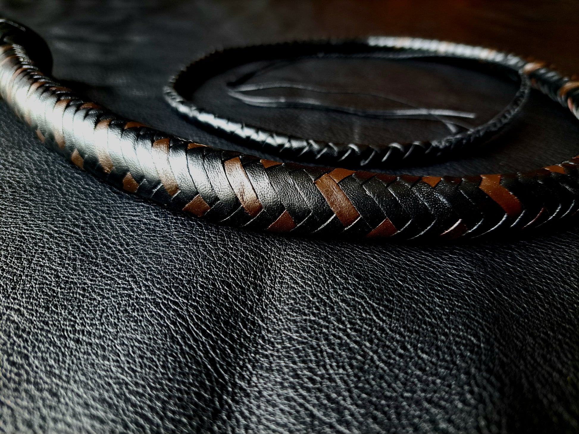 Meester wolf hybrids