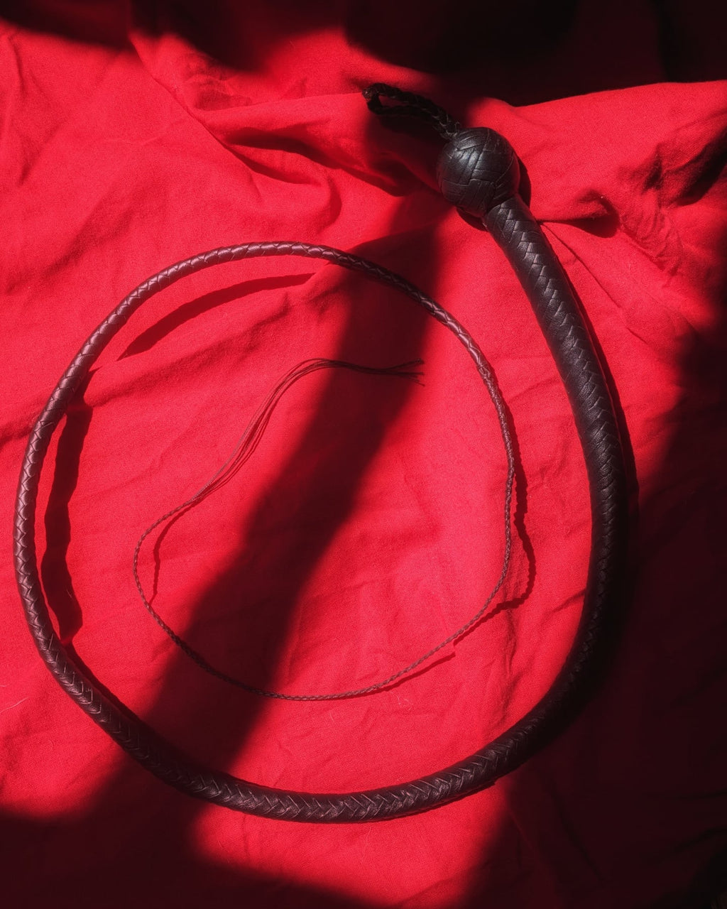 Signal whip classique sur mesure - uni